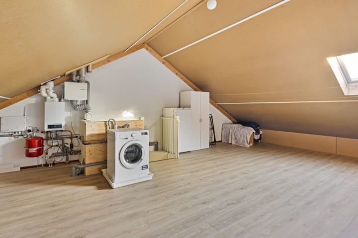 Foto 23 van Havikskruid 7