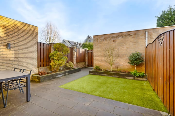 Foto 27 van Havikskruid 7