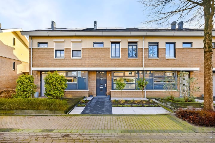 Foto 28 van Havikskruid 7