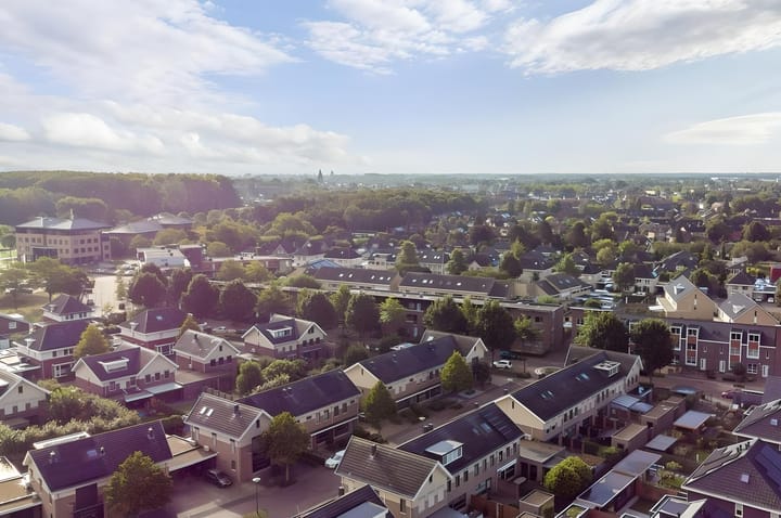 Foto 31 van Havikskruid 7