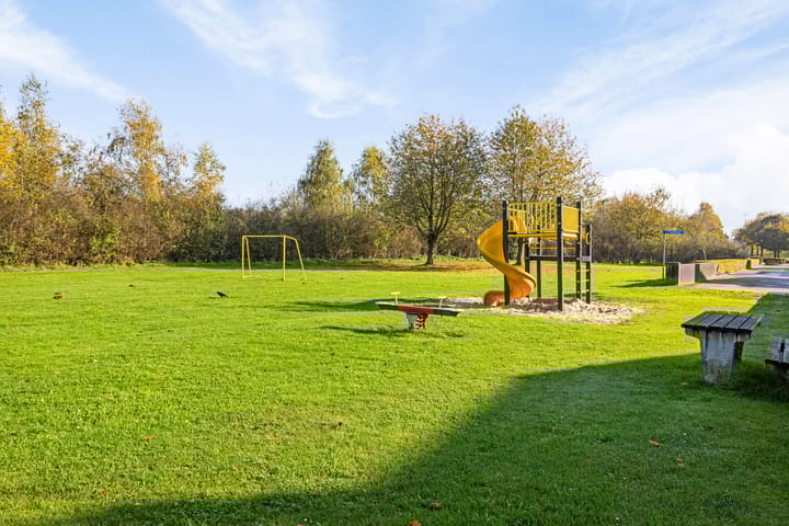 Foto 33 van Havikskruid 7