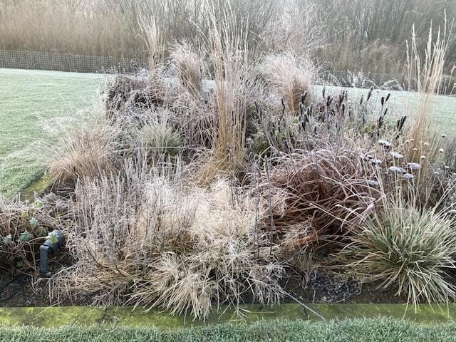 Photo 40 of Groene Grens 14