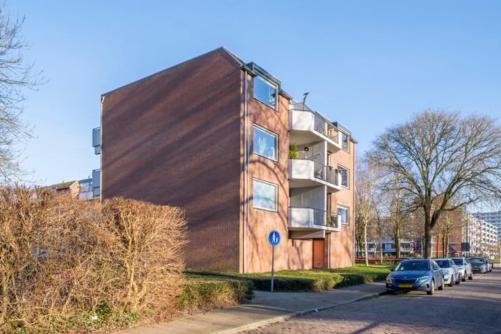 Foto 2 van Trommelaar 51