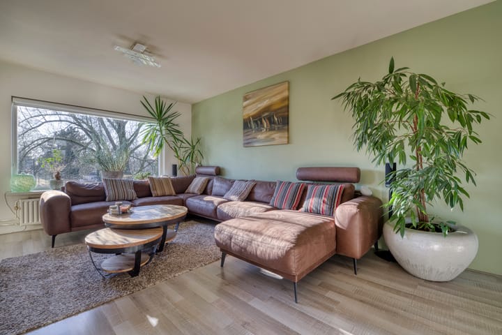 Foto 3 van Trommelaar 51