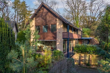 undefined main image