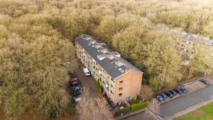 Foto 22 van Surinamelaan 65-C