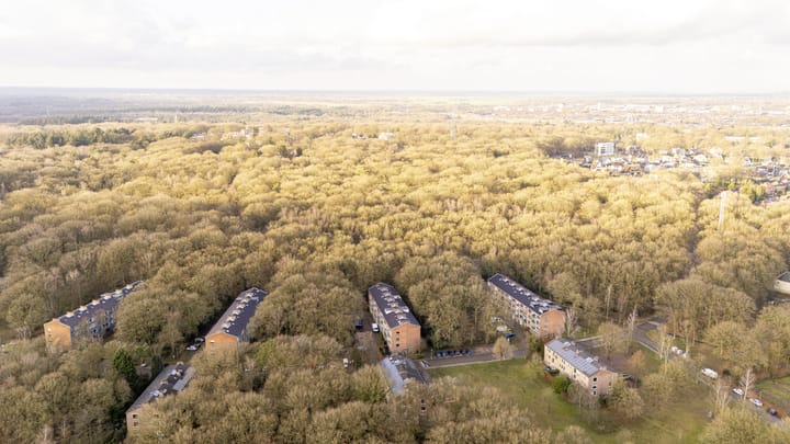 Foto 24 van Surinamelaan 65-C