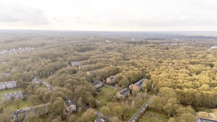 Foto 25 van Surinamelaan 65-C