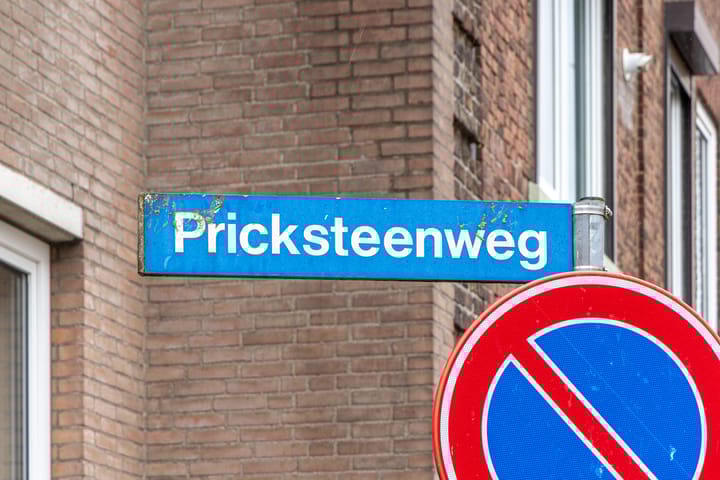 Foto 3 van Pricksteenweg 21