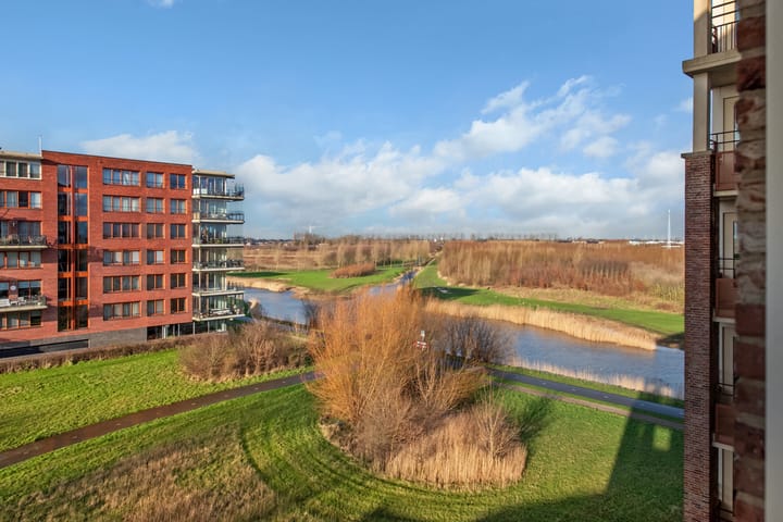 Foto 15 van Amazonestroom 118