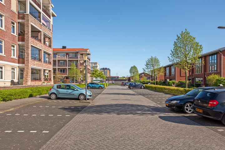 Foto 42 van Amazonestroom 118