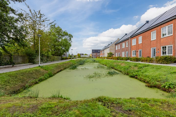 Foto 35 van Damweide 26