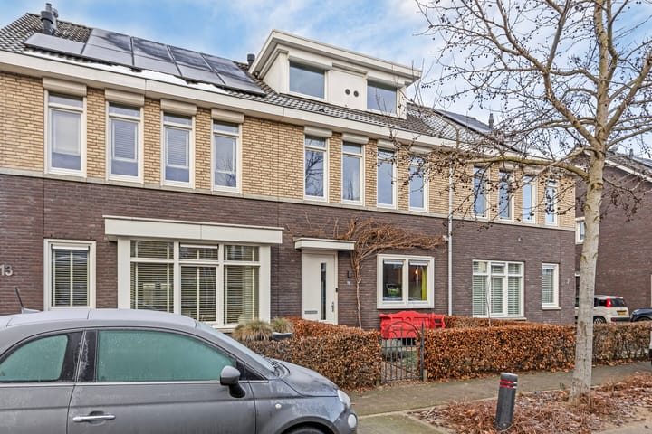 Foto 1 van Groene Specht 15