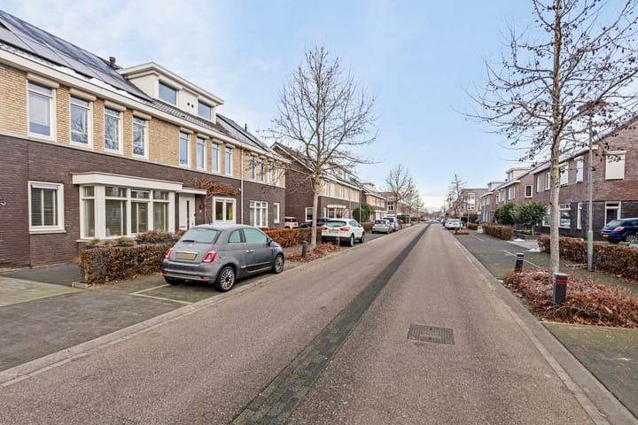 Foto 5 van Groene Specht 15