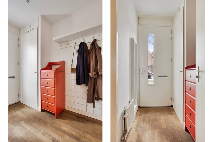 Foto 6 van Groene Specht 15