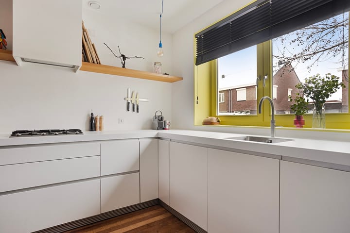 Foto 10 van Groene Specht 15