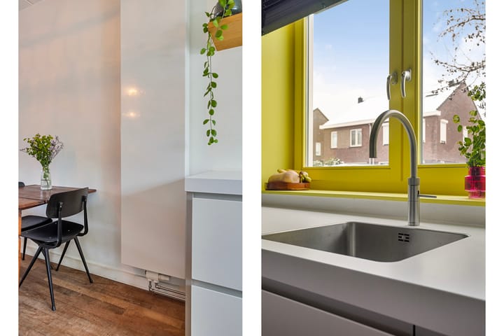 Foto 11 van Groene Specht 15