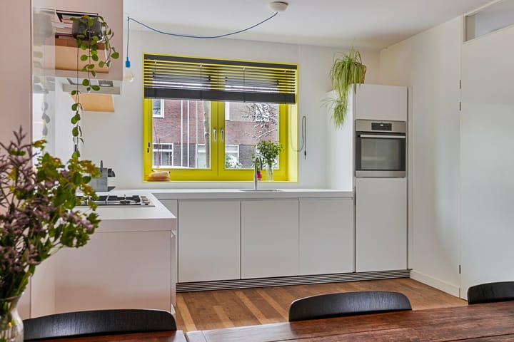 Foto 8 van Groene Specht 15