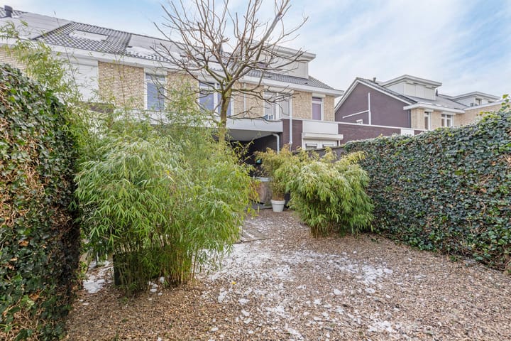 Foto 40 van Groene Specht 15