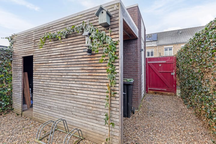 Foto 41 van Groene Specht 15