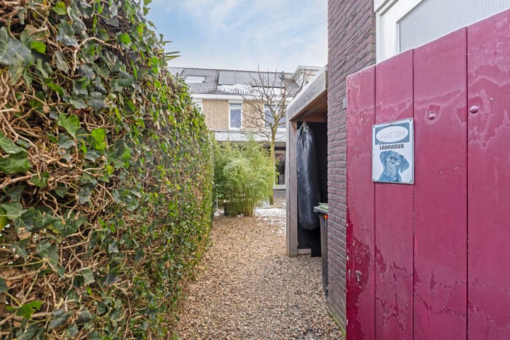 Foto 42 van Groene Specht 15