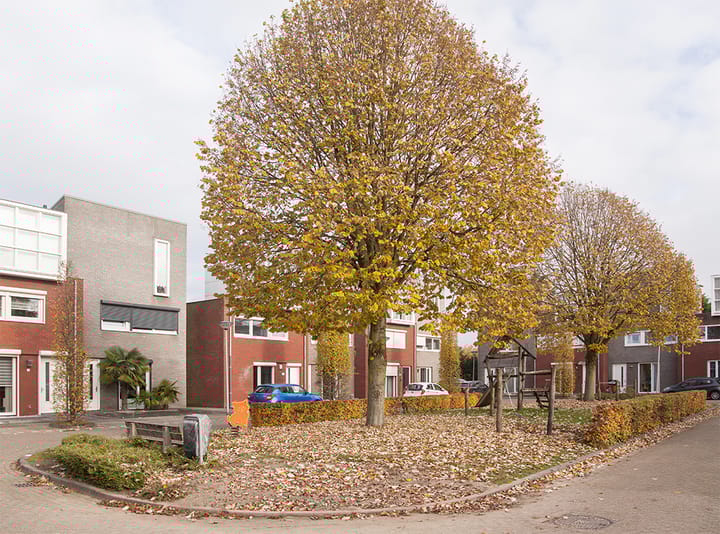 Foto 4 van Noordveld 29