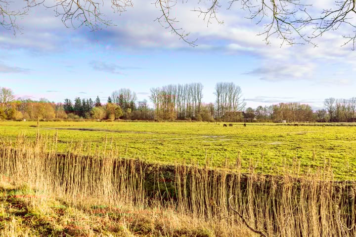 Foto 58 van Bloemersmaborg 131