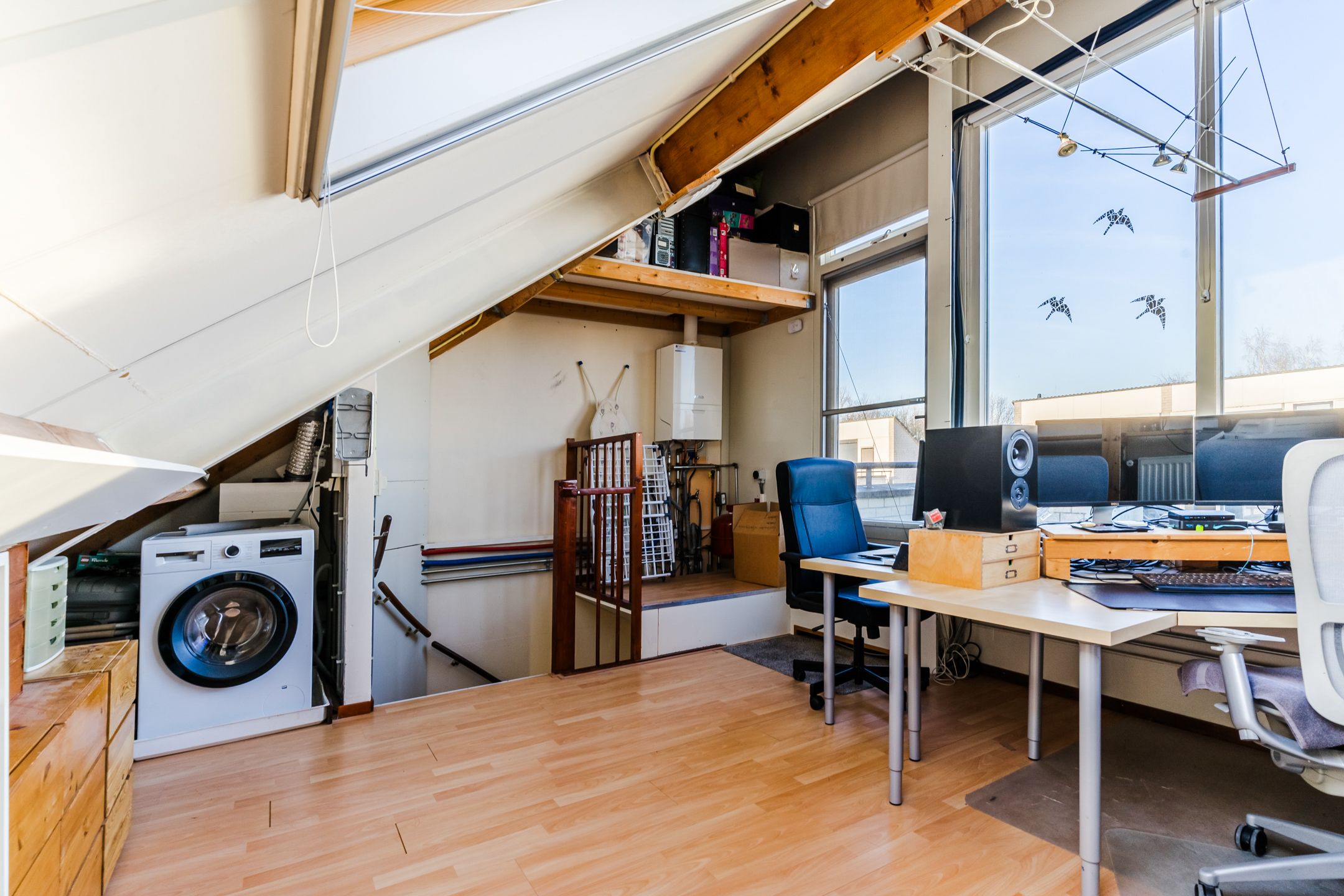 Foto 33 van Muffelke 10