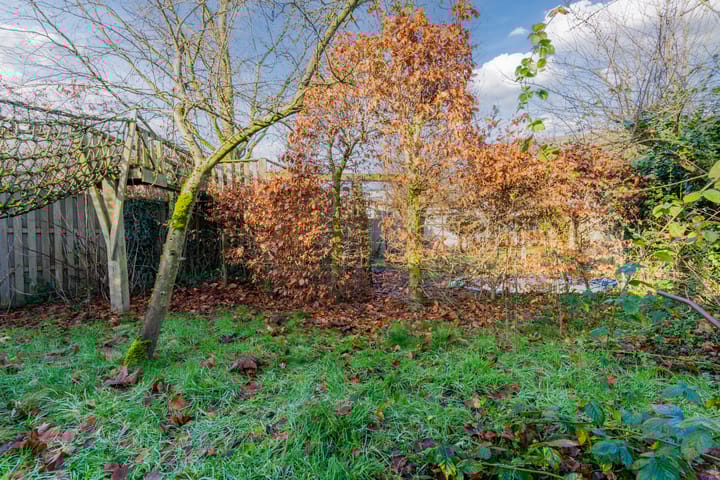 Foto 46 van Muffelke 10