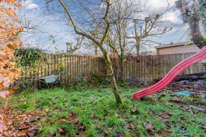 Foto 47 van Muffelke 10