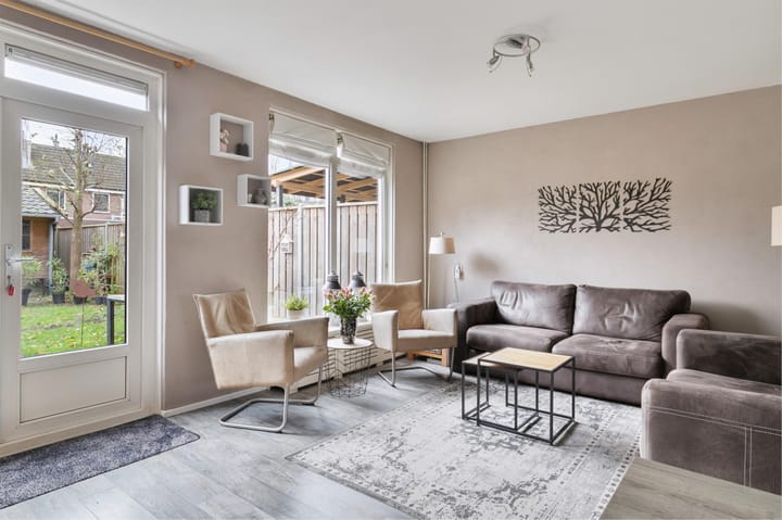 Foto 3 van Botter 42 1