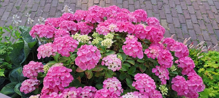 Foto 31 van Leidatoweg 30