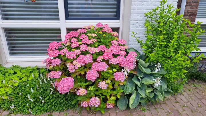 Foto 30 van Leidatoweg 30