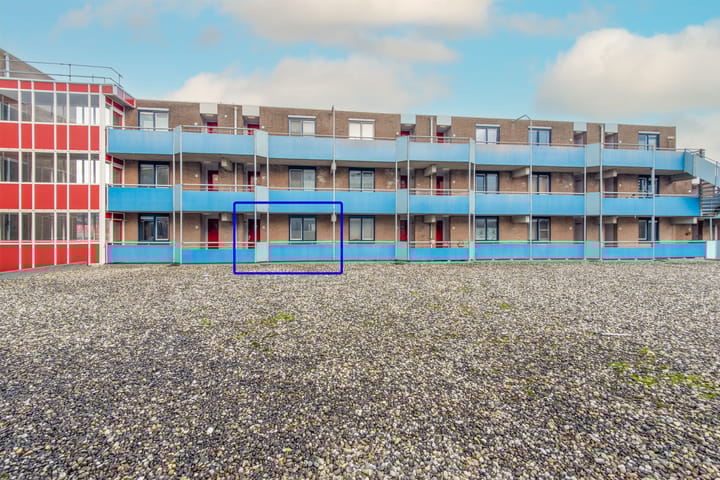 Foto 2 van Korenbloem 60