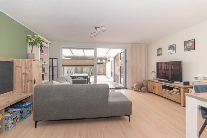 Foto 4 van Goudenregenzoom 11