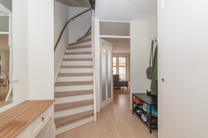 Foto 11 van Goudenregenzoom 11