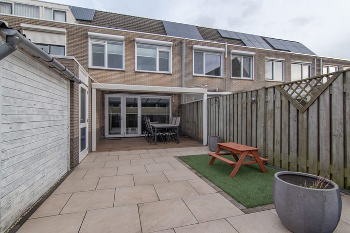 Foto 12 van Goudenregenzoom 11