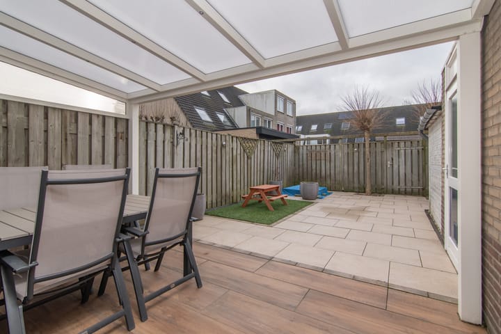 Foto 14 van Goudenregenzoom 11