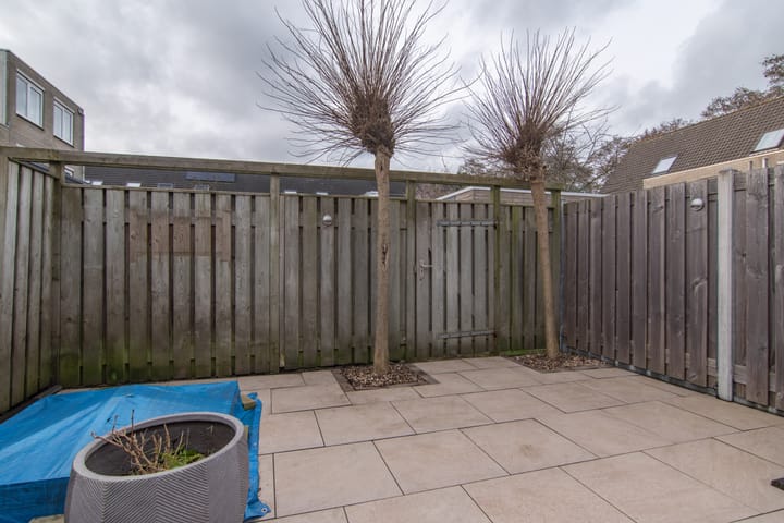 Foto 17 van Goudenregenzoom 11