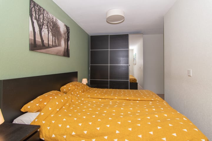 Foto 19 van Goudenregenzoom 11