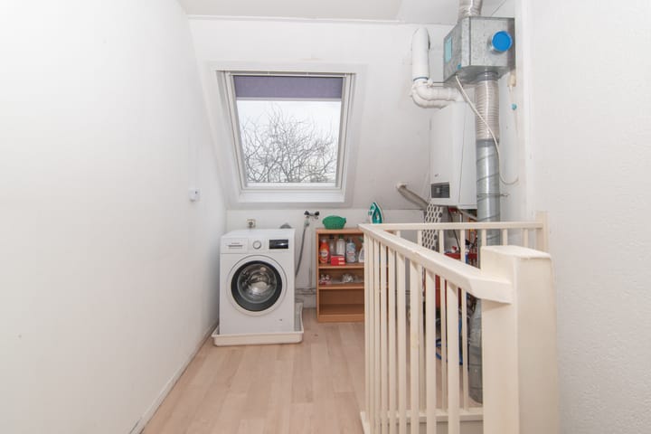 Foto 28 van Goudenregenzoom 11