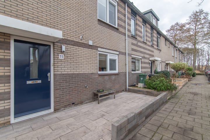 Foto 31 van Goudenregenzoom 11