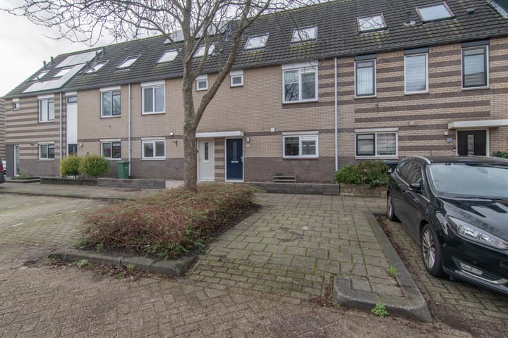 Foto 32 van Goudenregenzoom 11