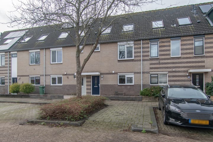 Foto 33 van Goudenregenzoom 11