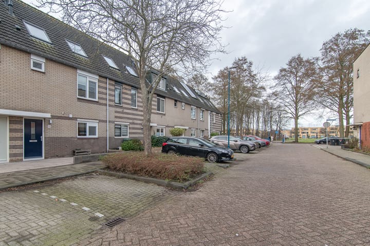 Foto 34 van Goudenregenzoom 11