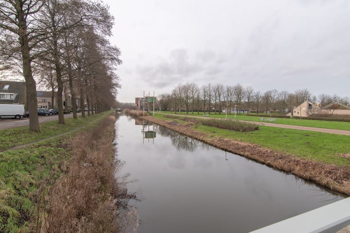 Foto 35 van Goudenregenzoom 11