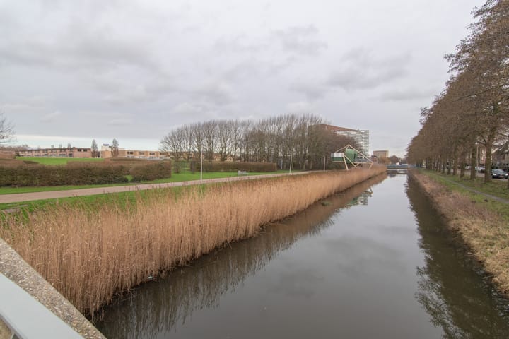 Foto 36 van Goudenregenzoom 11