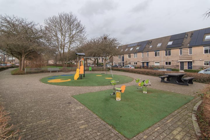 Foto 37 van Goudenregenzoom 11