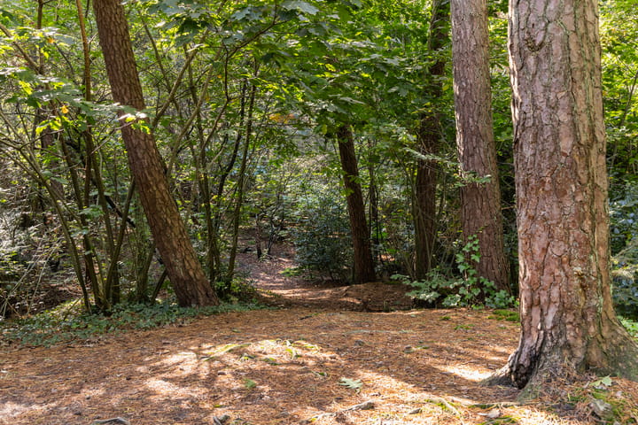 Photo 35 of Soestdijkseweg Noord 410