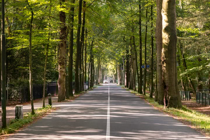 Photo 36 of Soestdijkseweg Noord 410